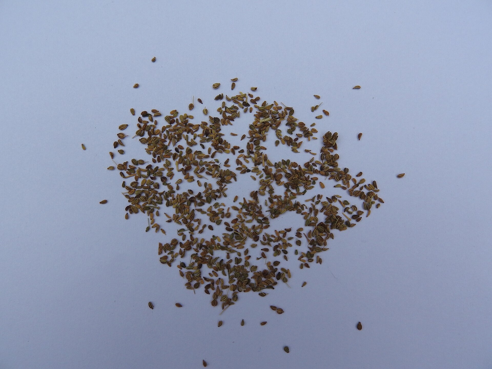 A small heap of dried ajwain (carom) seeds