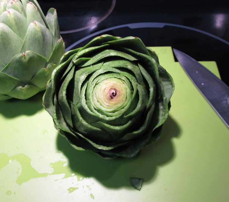 Artichoke Leaf: a whole globe artichoke