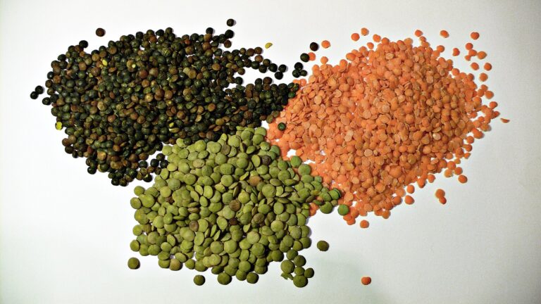 Three kinds of lentils: green, brown and red