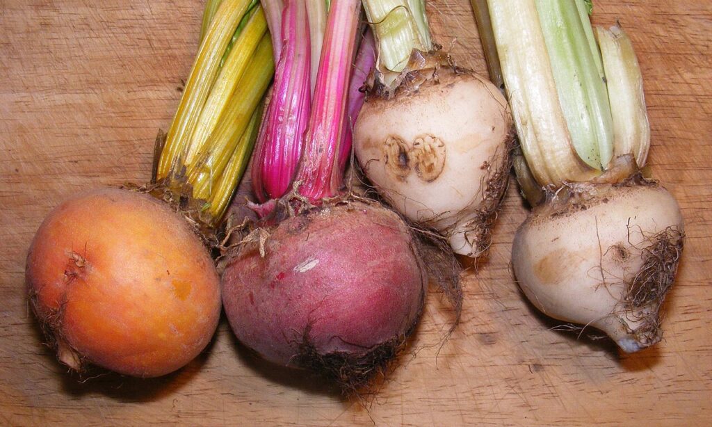 Fresh beetroot