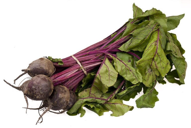 Beets: Beets Bundle