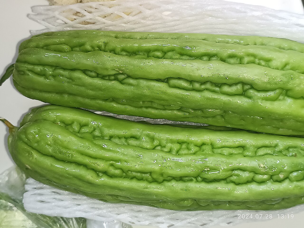 Two whole green bitter melons (bitter gourd) with ridged, bumpy skin