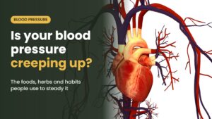 Illustration of the human heart and blood vessels with the headline: Is your blood pressure creeping up? The foods, herbs and habits people use to steady it
