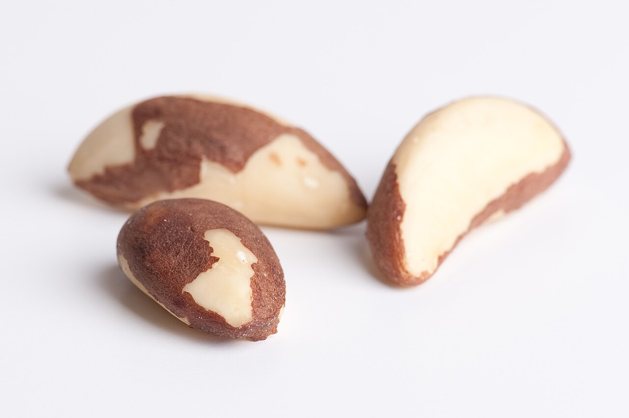 Shelled Brazil nuts, the richest food source of selenium