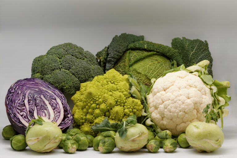 Cabbage-family vegetables: red cabbage, broccoli, savoy cabbage, romanesco and cauliflower