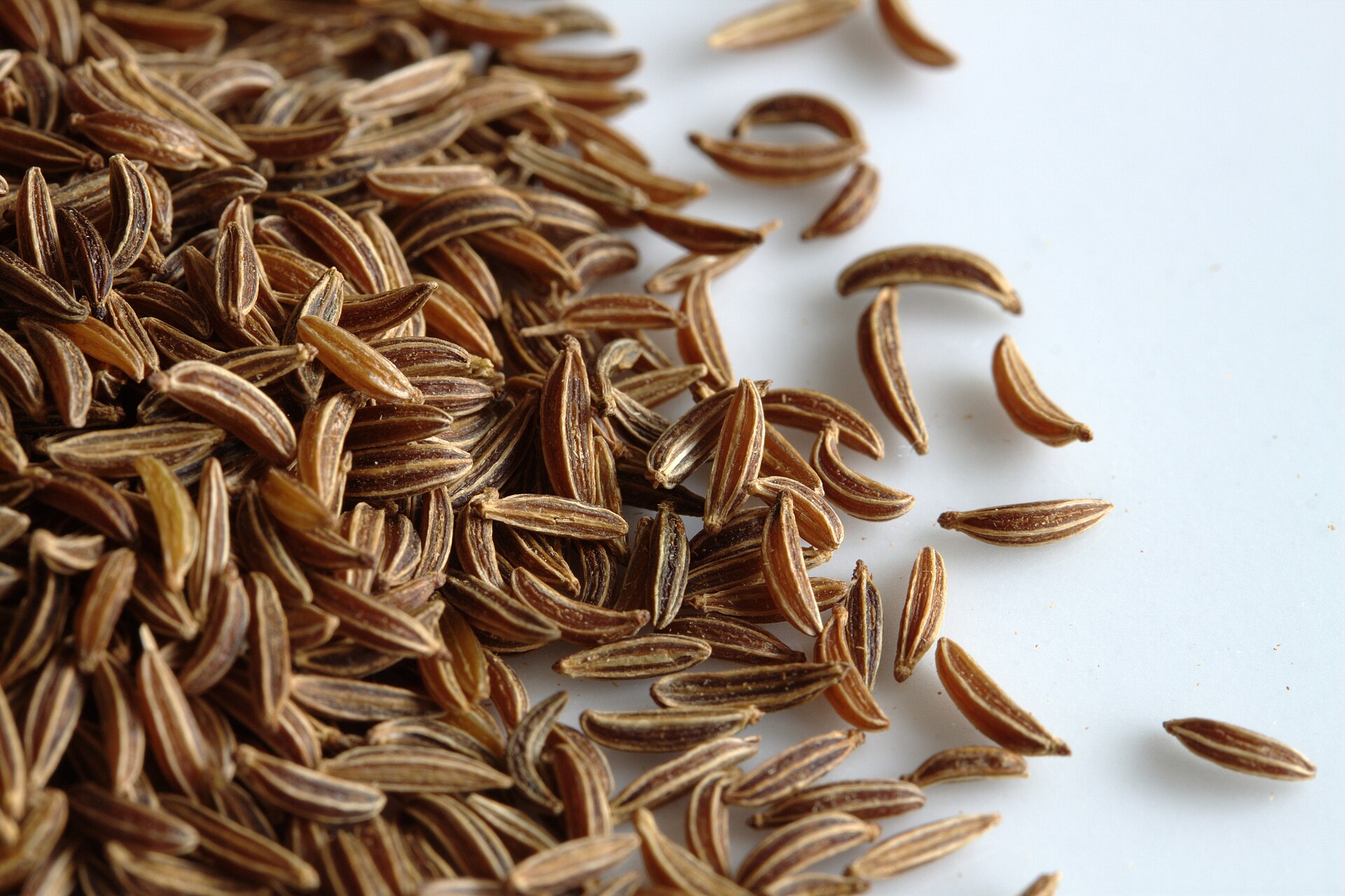 Dried caraway seeds close up