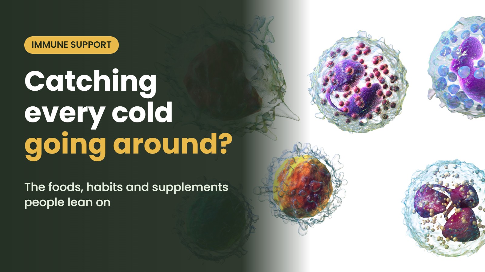 Illustration of the white blood cells with the headline: Catching every cold going around? The foods, habits and supplements people lean on