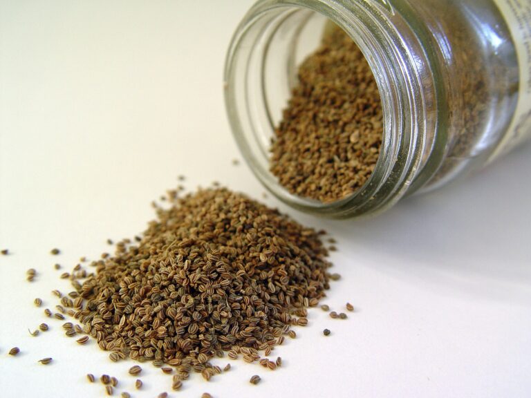 Celery seeds spilling from a glass jar
