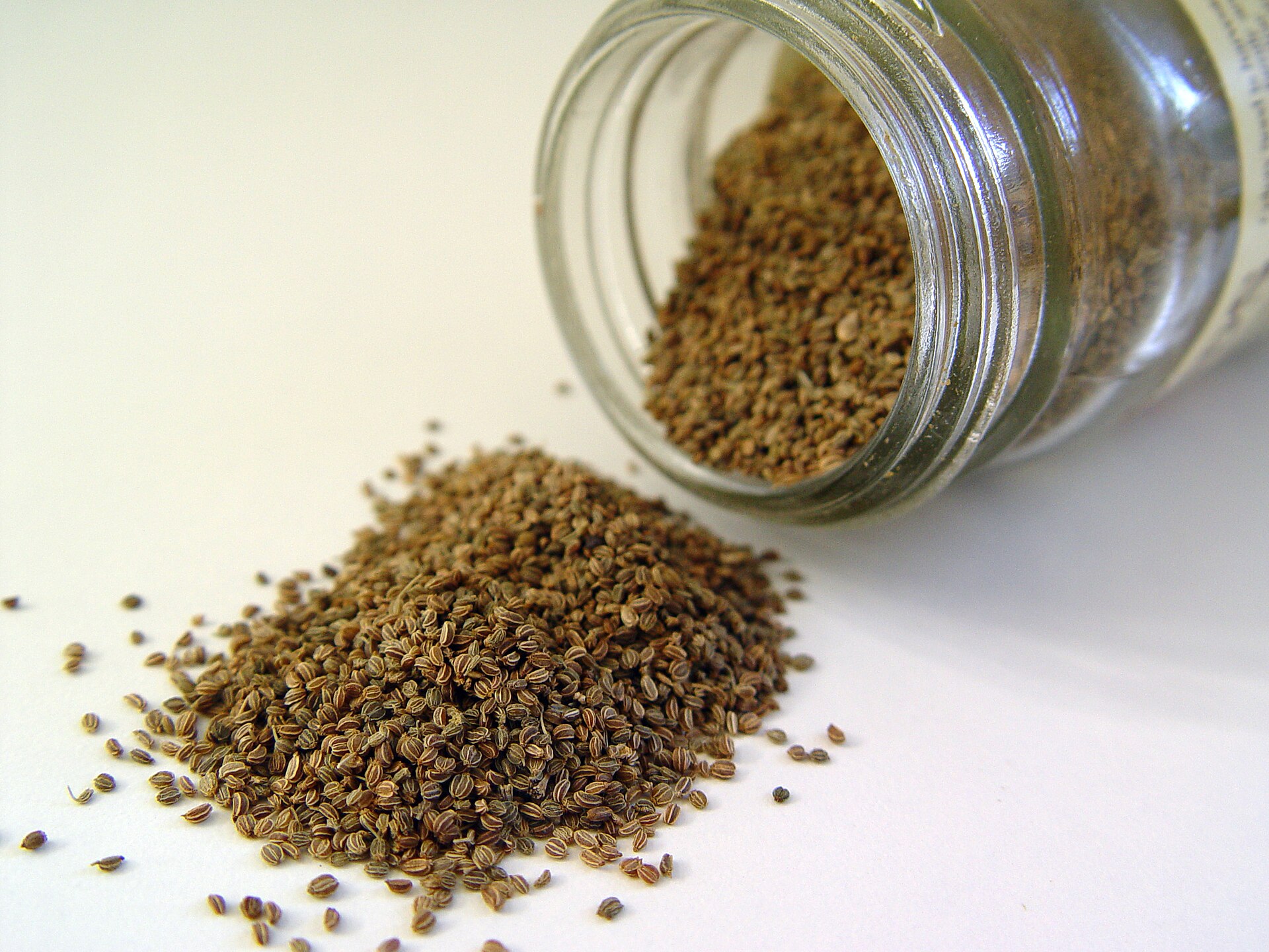 Celery seeds spilling from a glass jar