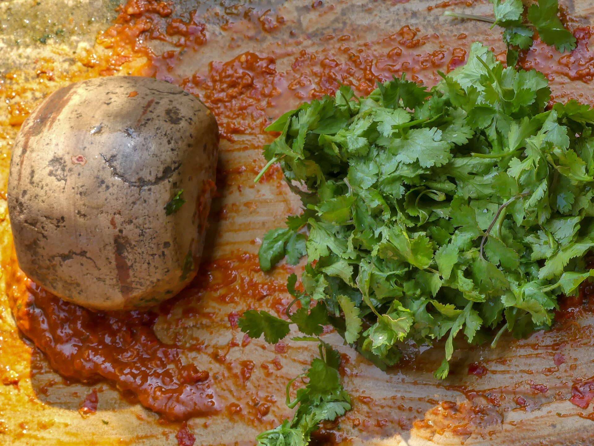 Cilantro: Chutney making add coriander (45549847092)