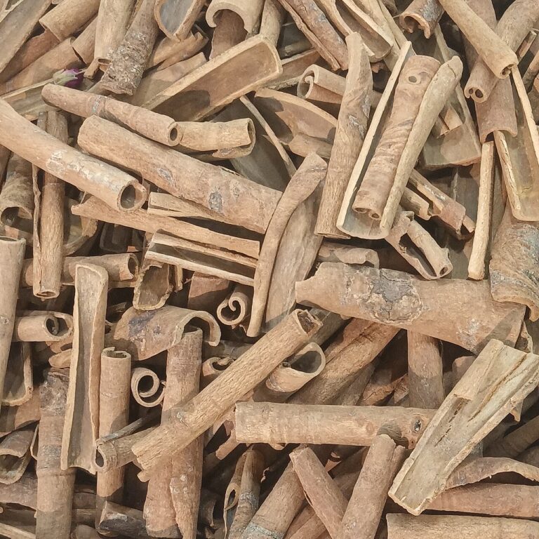 Cinnamon sticks and ground cinnamon