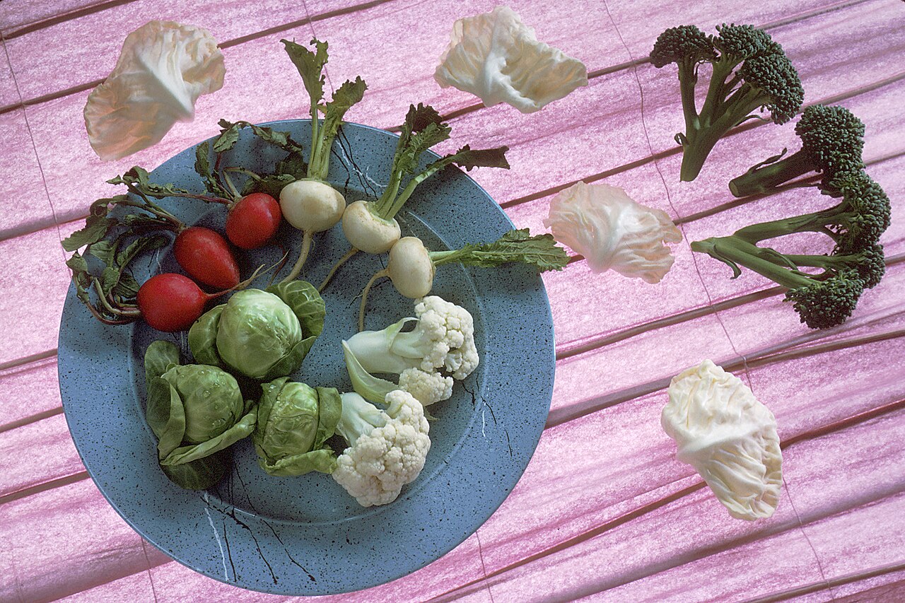 A plate of cruciferous vegetables: radishes, broccoli, cauliflower, kohlrabi and others