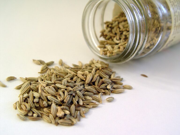 Fennel: fennel seeds spilling from a jar