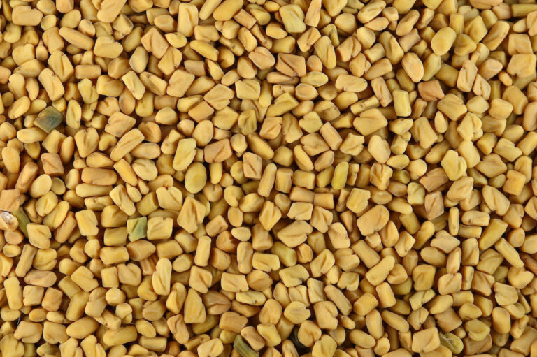 A pile of golden-brown fenugreek seeds