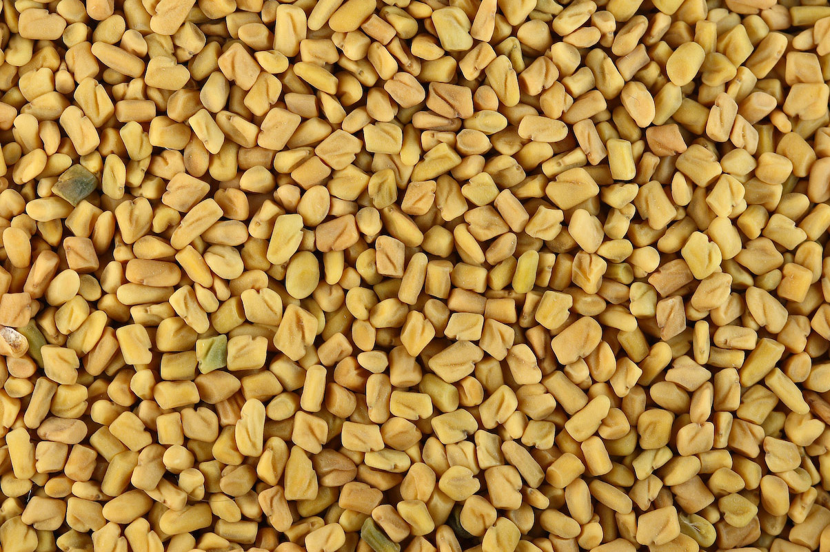 A pile of golden-brown fenugreek seeds