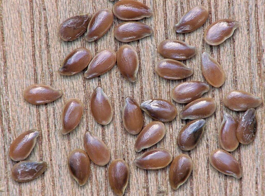 Brown flax seeds scattered on a wooden surface