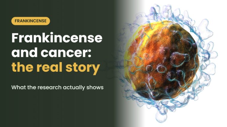 Illustration of the immune cell with the headline: Frankincense and cancer: the real story What the research actually shows