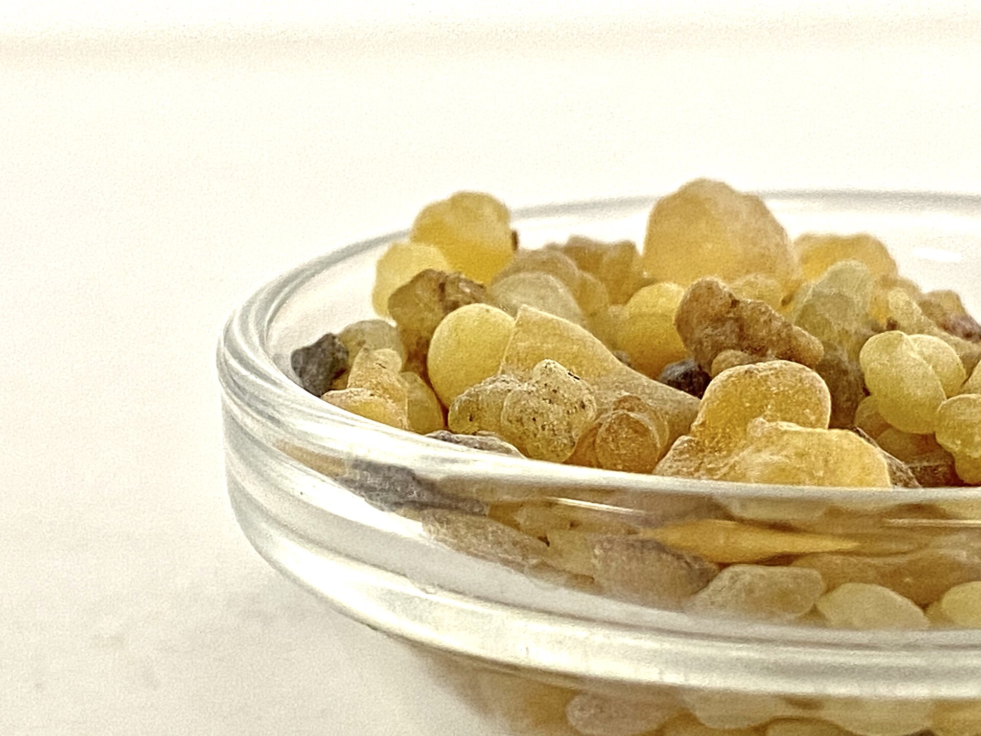 Close-up of golden frankincense (boswellia) resin tears