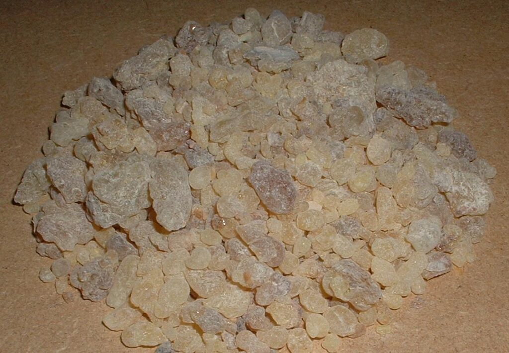 A pile of pale frankincense resin from Oman