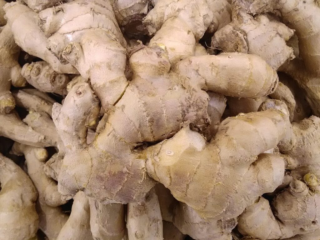 Fresh ginger root pieces