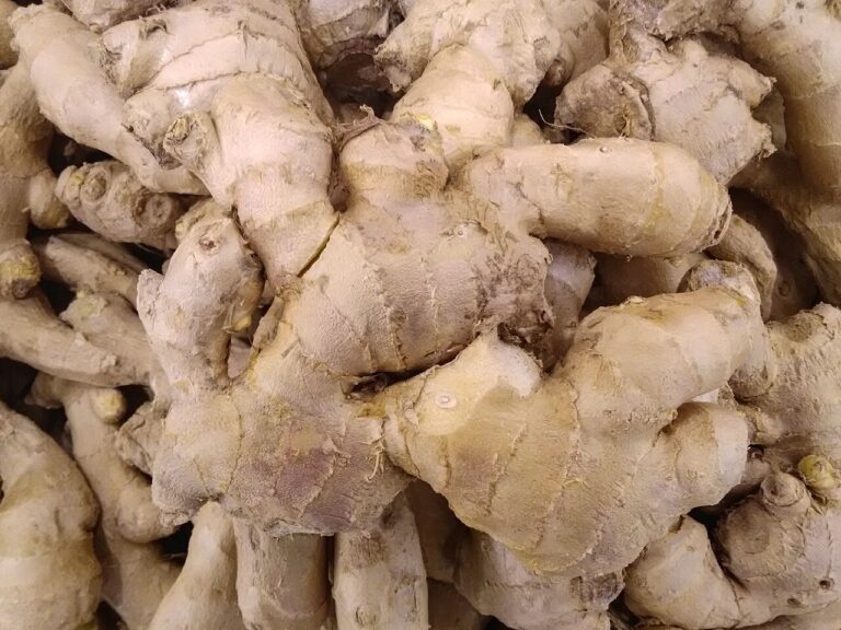 Fresh ginger root pieces