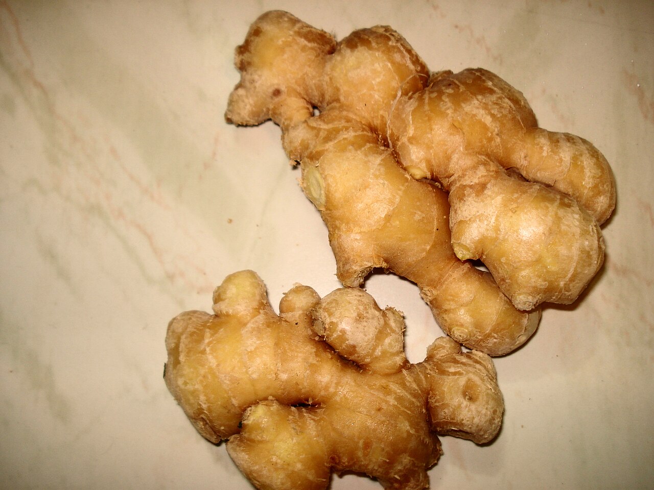 Fresh ginger root