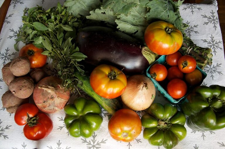 An assortment of fresh vegetables