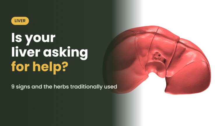 Illustration of the liver with the headline: Is your liver asking for help? 9 signs and the herbs traditionally used