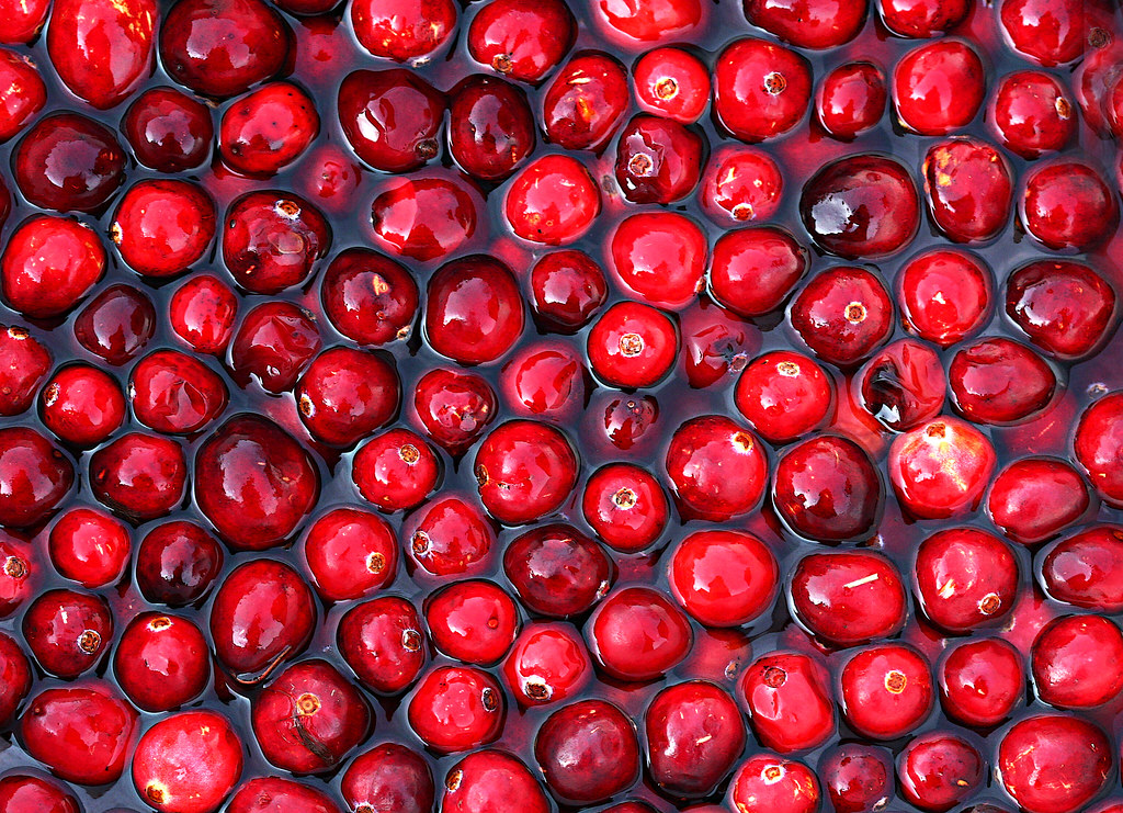 A pile of fresh red cranberries