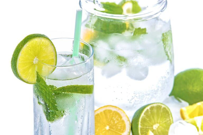 A glass of water with lemon and lime slices