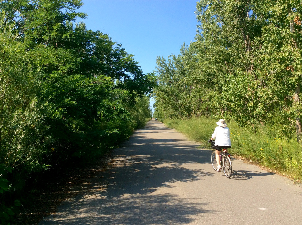 A paved trail through leafy green parkland on a sunny day