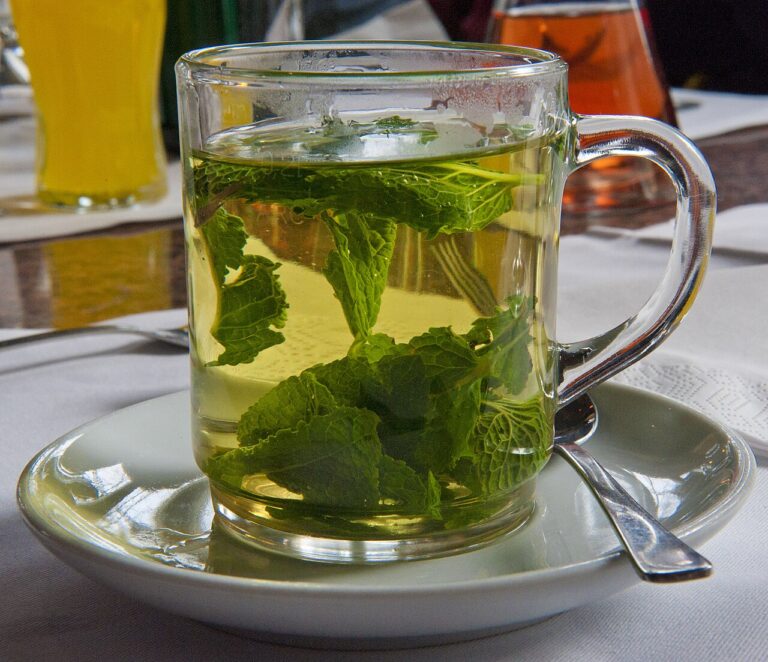 A glass cup of fresh peppermint tea