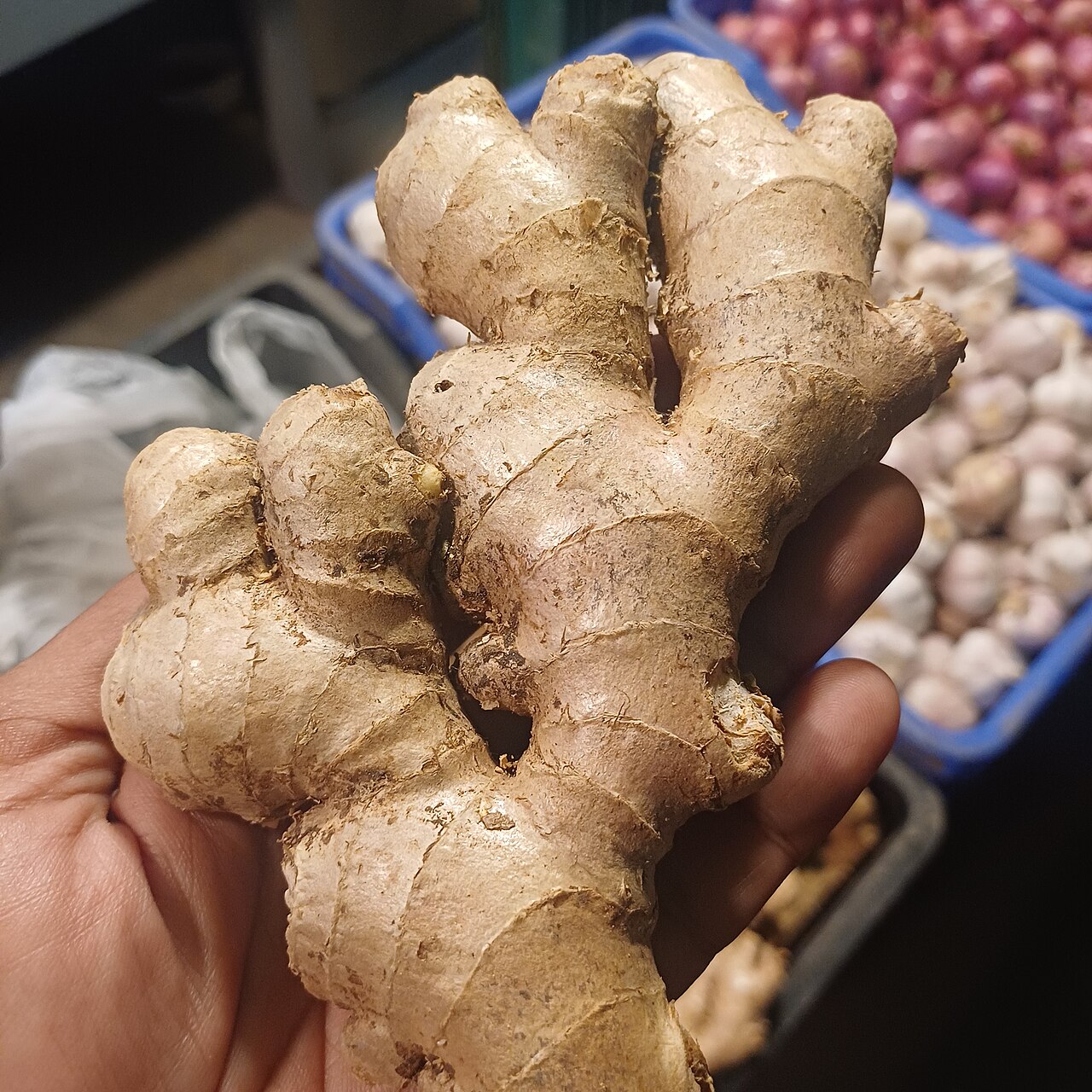 Fresh ginger root