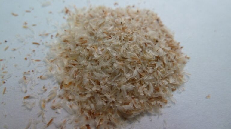Psyllium Husk: a pile of psyllium seed husk