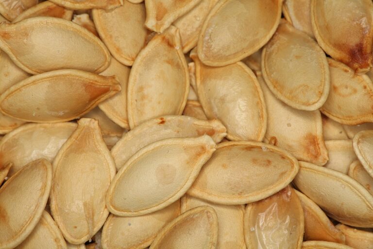 Close-up of pumpkin seeds, one of the richest food sources of magnesium