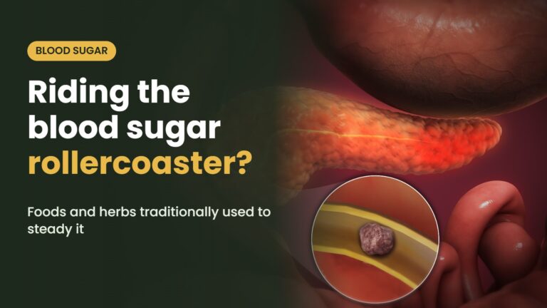 Illustration of the pancreas with the headline: Riding the blood sugar rollercoaster? Foods and herbs traditionally used to steady it
