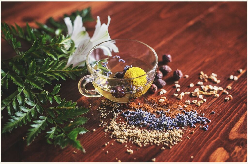 Glass cup of herbal tea with fresh herbs and spices