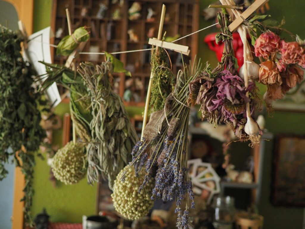 Bundles of herbs and flowers hanging up to dry
