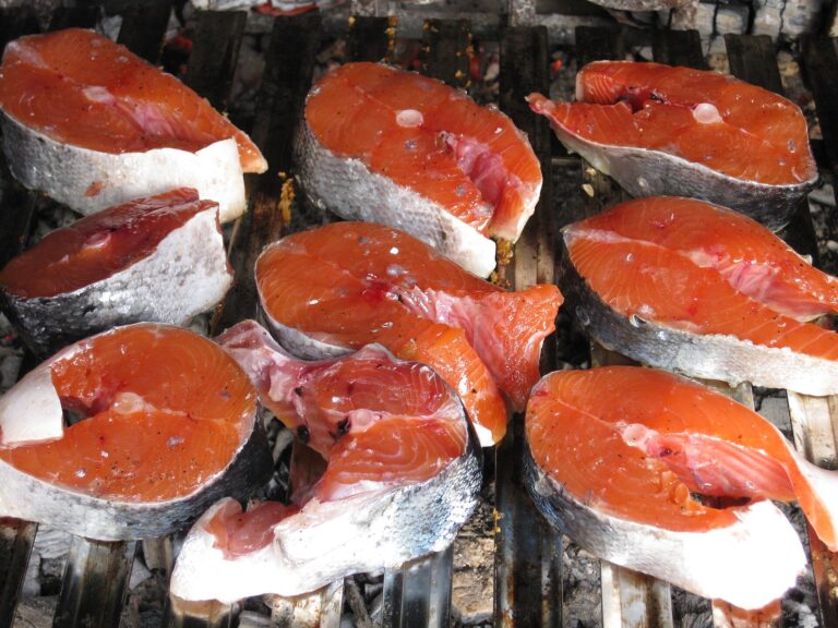Raw salmon steaks