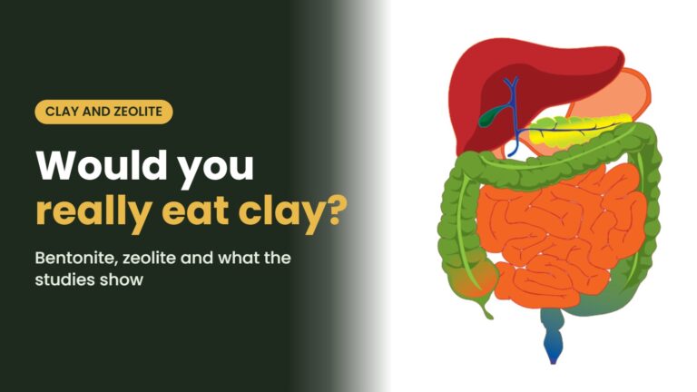 Digestive tract illustration with the headline: Would you really eat clay? Bentonite, zeolite and what the studies show